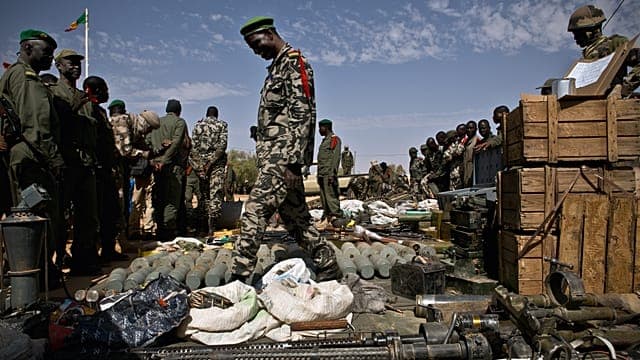 Malian army retakes key northern town of Anefis after week-long battle