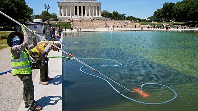 USA : malgré 14 millions dépensés par Trump, le bassin du Washington Mall vire au vert