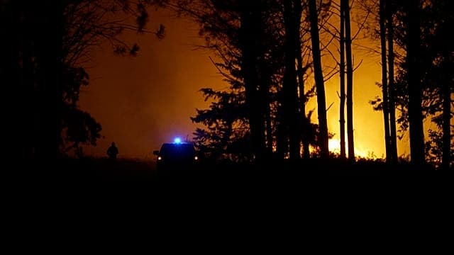 Landes: un incendie de forêt force 525 personnes à fuir