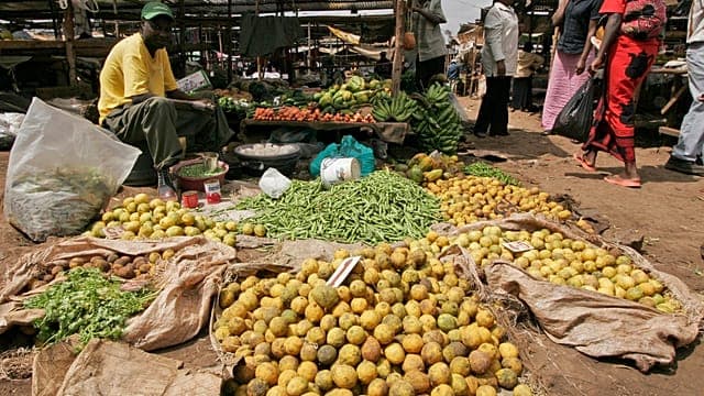 Kenya : la croissance devrait progresser de 4,4% en 2027