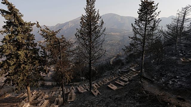 Au moins un mort dans des feux de forêt dans le nord de l'Algérie