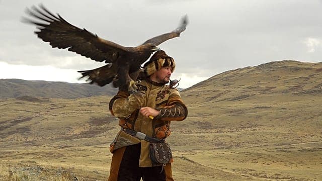 Au Kazakhstan, la première Open Asian Falconry Cup met en avant un héritage ancestral