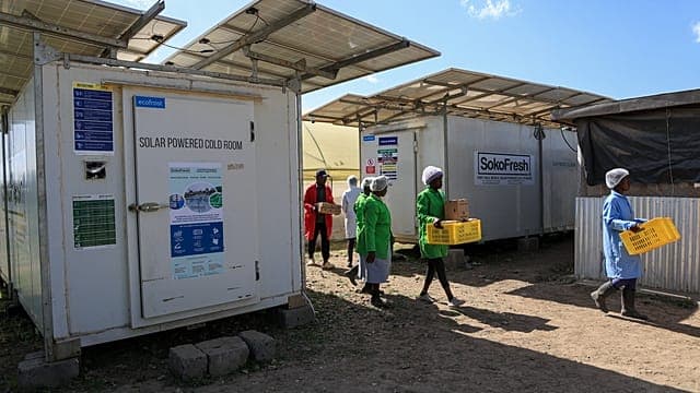 In Kenya cold chain breakthrough helps farmers save more, earn more