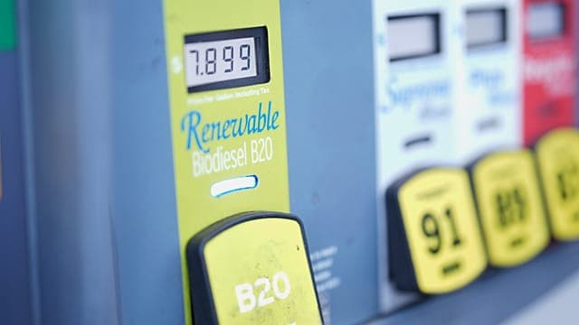 Pétrole : sous pression de Trump, le G7 libère 100 millions de barils