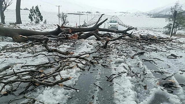 Afrique du Sud : une importante vague de froid perturbe les déplacements