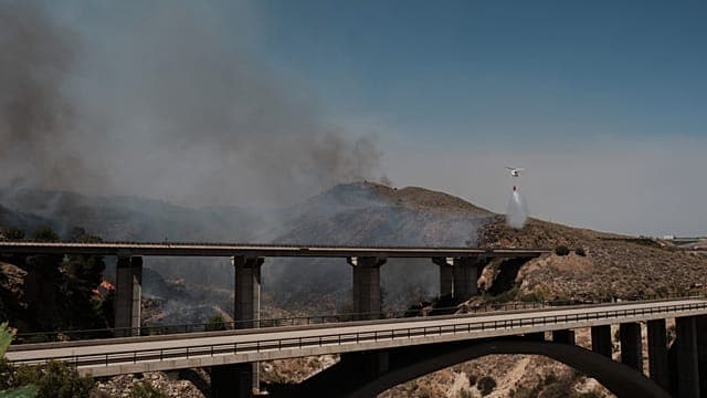 Incendie en Espagne : les pompiers progressent, les évacués d'Almería rentrent chez eux
