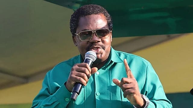 Tanzanie : le vice-président Emmanuel Nchimbi démissionne