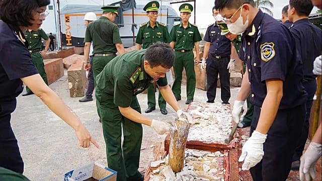 Vietnam : saisie de 1,2 tonne d'ivoire expédiée illégalement depuis la RDC