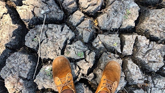 Au Soudan, El Niño et la flambée des coûts menacent les récoltes