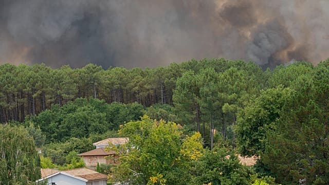 France : un vaste incendie ravage les forêts du Cap Ferret, des milliers d'évacués