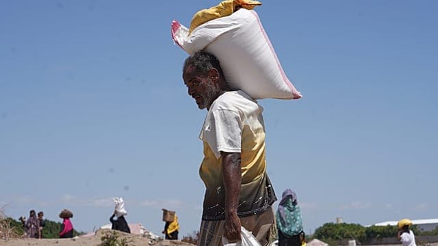Yémen : à Taïz, les combats font craindre une nouvelle crise humanitaire