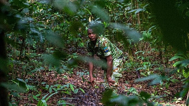 Gabon : les botanistes à la découverte d’une biodiversité encore méconnue