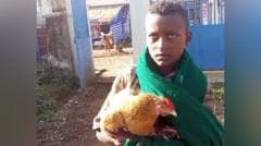 Boy, 12, wins hearts after trying to check sick chicken into Ethiopian hospital