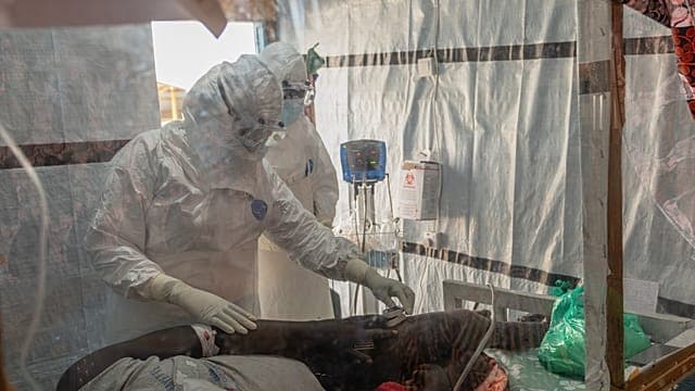 Confirmed Ebola cases in DR Congo rise to 1,502