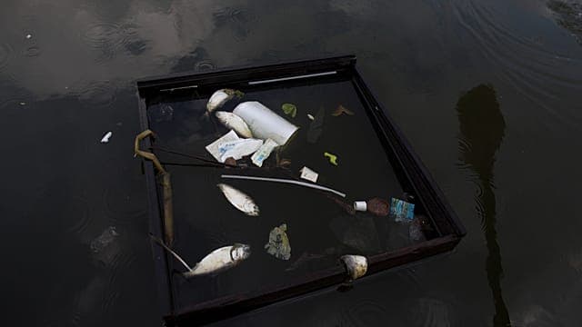Brésil : des cheveux recyclés pour dépolluer la baie de Guanabara