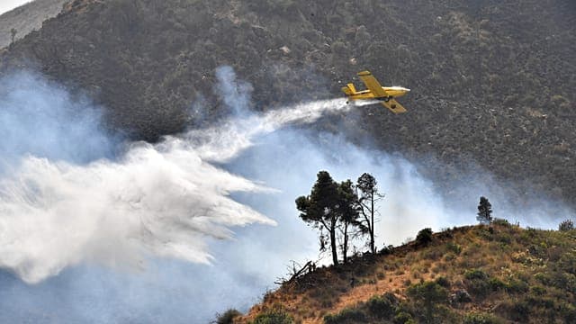 Algérie : plus de 100 incendies, les secours mobilisés dans 45 provinces