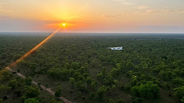 Soudan du Sud : l'UNESCO protège un sanctuaire unique de la faune africaine