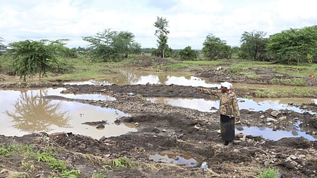 ONU : régression de la faim à l'échelle mondiale, dans un contexte fragile