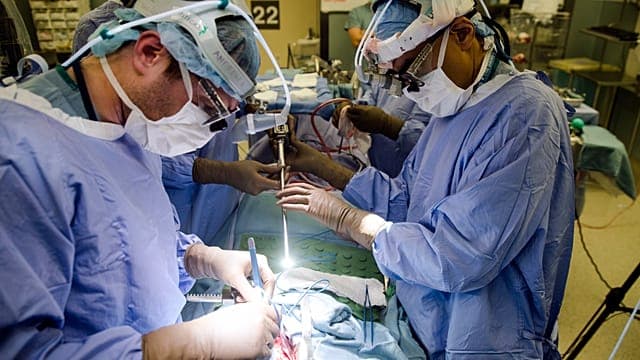 Santé : dans la lutte contre le cancer, les inégalités persistent