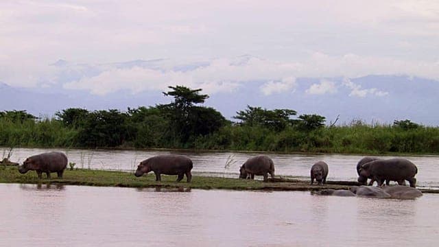 Burundi : les feux ravagent un cinquième du parc de la Ruvubu