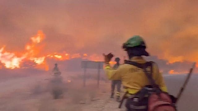 Vague de chaleur en Espagne : un incendie de forêt près d'Almería fait 11 morts