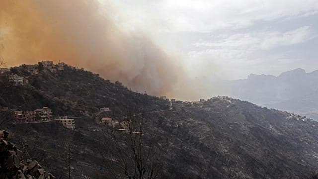 Algérie : 12 personnes tuées dans des incendies de forêt 