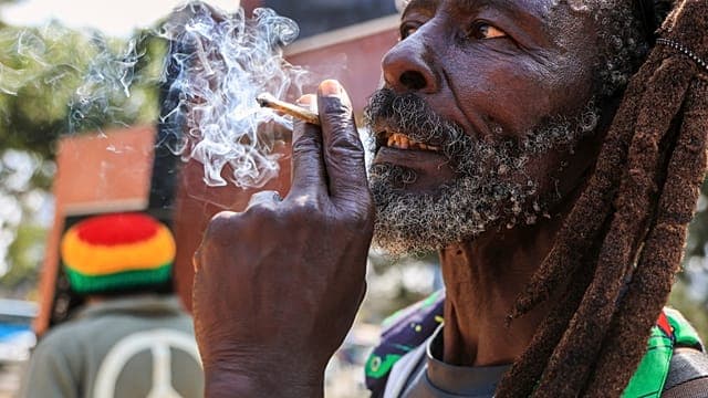 Kenya : déception des rastafaris après le rejet de la légalisation du cannabis