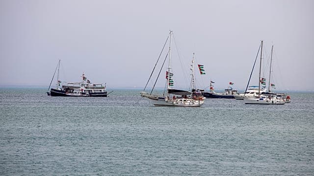 Tunisie : au moins 11 arrestations lors d’un rassemblement pro-palestinien